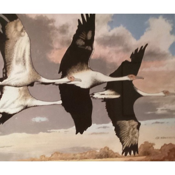 Waterfowl in Flight Framed Art Print 2008 Signed G. Kallio 12x15 - Picture 3 of 5